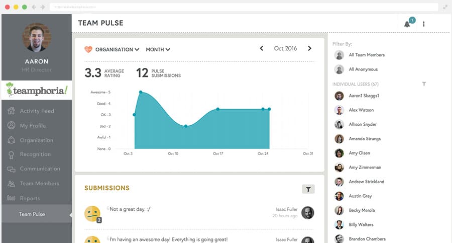 Teamphoria culture measurement dashboard