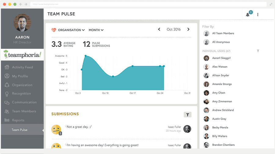 Team Pulse measurement screenshot