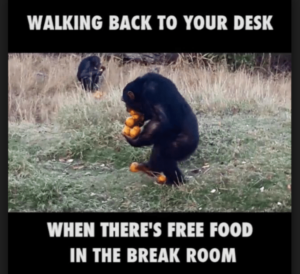 Top 5 Funny Workplace Quotes And Memes That Are All Too Relatable