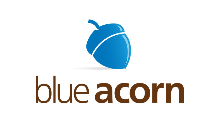 blue acorn ppp status blue acorn ppp status